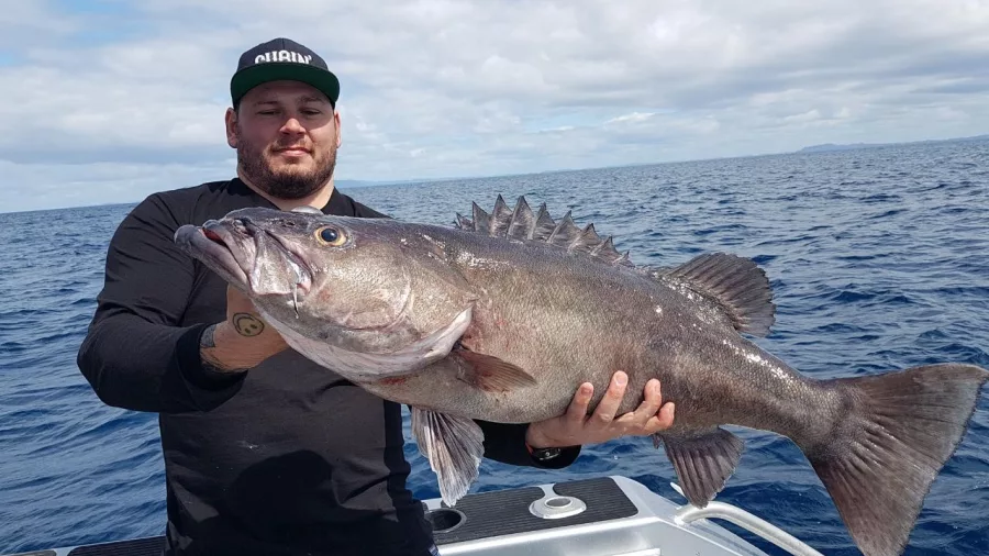 Angler named Ben holding a freshly caught hapuka on board a fishing boat