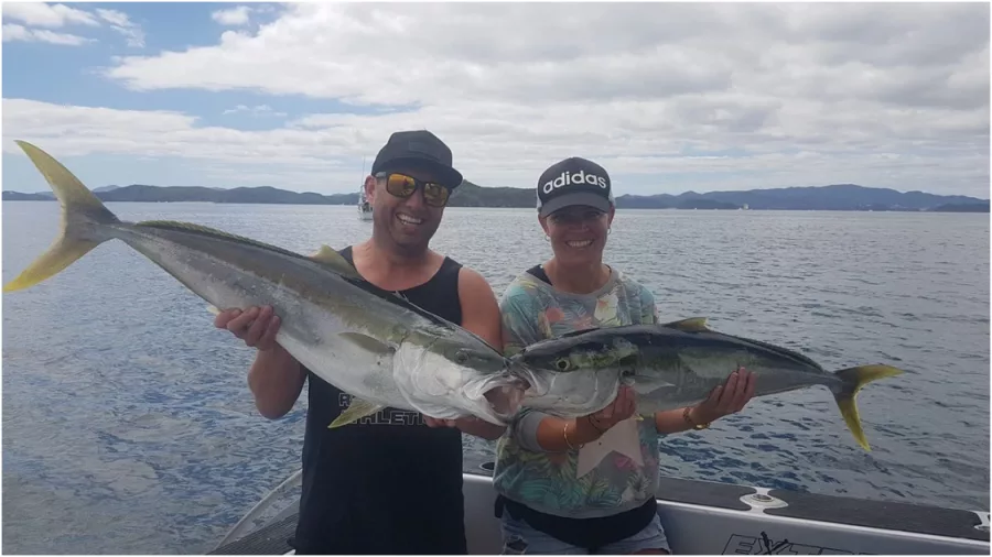 Smiling couple holding two kingfish with the fish locking jaws on a boat in the Bay of Islands