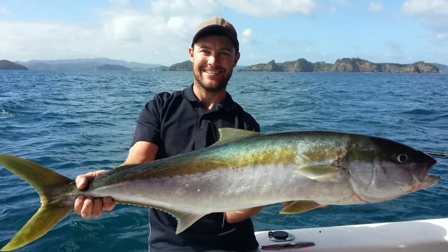 Man holding a large kingfish on a boat in the Bay of Islands, New Zealand