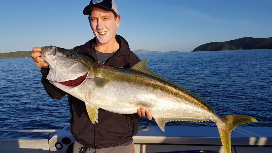Smiling young man holding a kingfish on a boat with calm seas and island views in the Bay of Islands