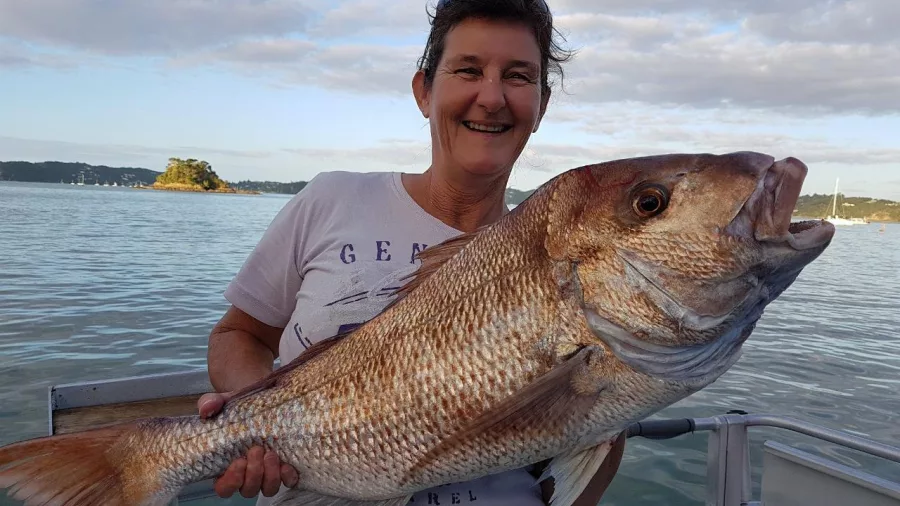 Woman smiling while holding a large snapper on a boat in the Bay of Islands during golden hour