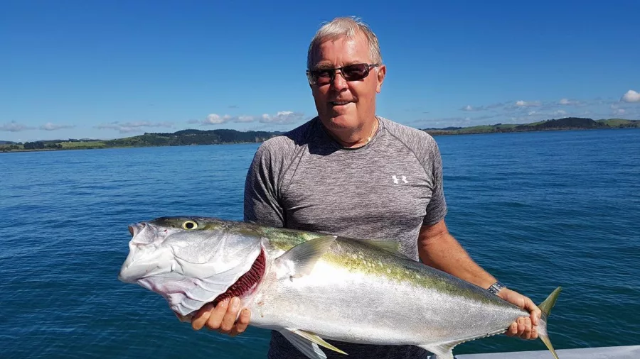 Man holding a freshly caught kingfish on a sunny day aboard a fishing boat in the Bay of Islands