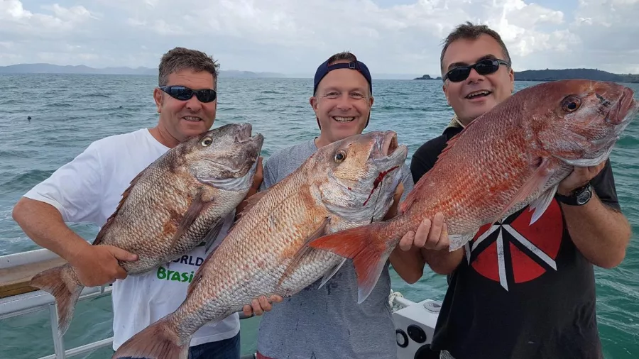 Three men smiling and holding large snapper fish on a private fishing charter in the Bay of Islands