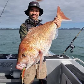 Angler holding large snapper caught using softbait in Bay of Islands