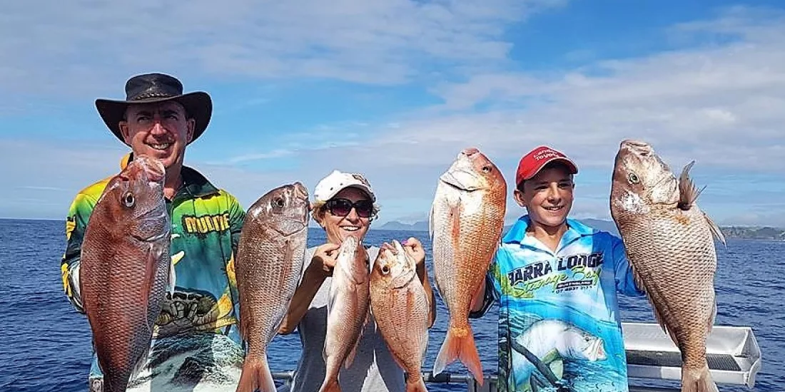 Family of three proudly holding six snapper fish on a sunny day in the Bay of Islands