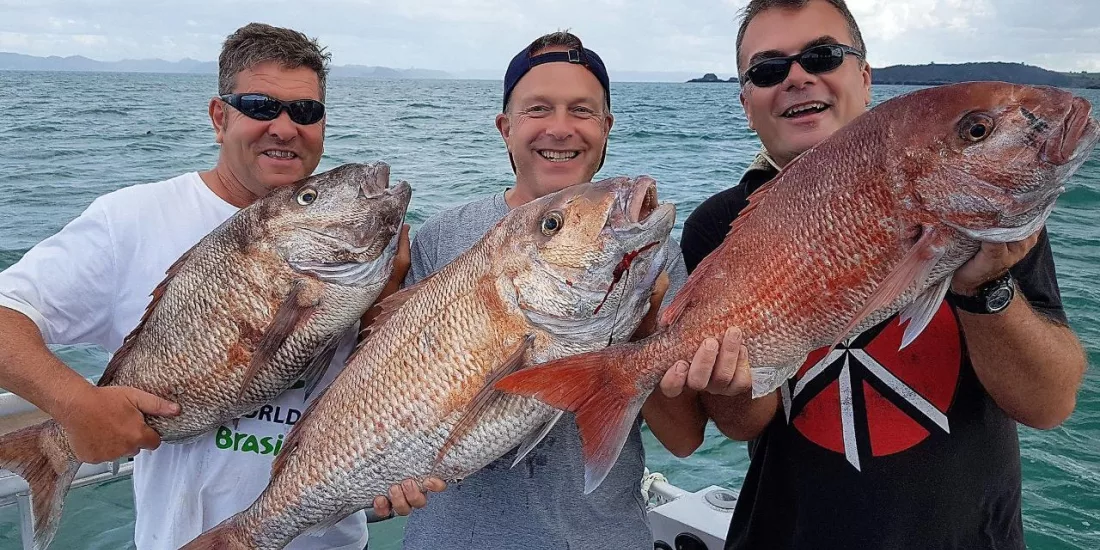 Three men smiling and holding large snapper fish on a boat in the Bay of Islands