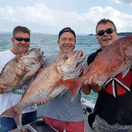 Three men smiling and holding large snapper fish on a boat in the Bay of Islands