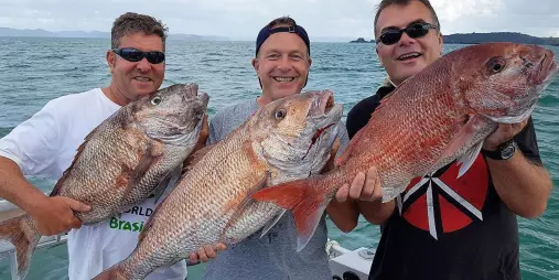 Three men smiling and holding large snapper fish on a boat in the Bay of Islands