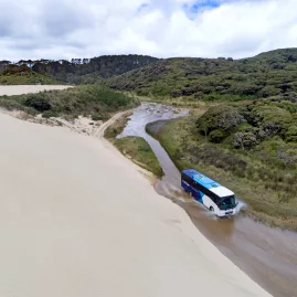 A tour bus driving through the shallow waters of Te Paki Stream, surrounded by sand dunes and lush greenery in Northland, New Zealand.