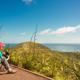A photographer capturing the stunning coastal landscape of Cape Reinga, New Zealand, with lush greenery and the vast ocean in the background.