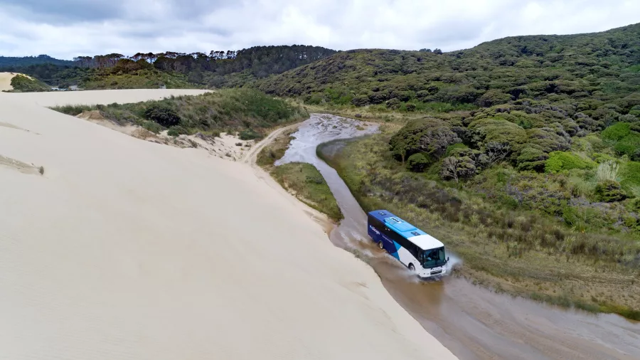 A tour bus driving through the shallow waters of Te Paki Stream, surrounded by sand dunes and lush greenery in Northland, New Zealand.