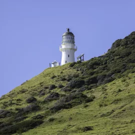 Cape Brett Lighthouse standing on a lush green hillside against a clear blue sky in Northland, New Zealand.