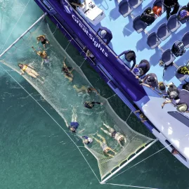 Aerial view of people enjoying boomnetting off a tour boat in the Bay of Islands, New Zealand.