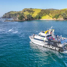 The Explore Group's Dolphin Seeker cruise boat sailing through the scenic waters of the Bay of Islands, offering passengers a chance to spot marine wildlife.