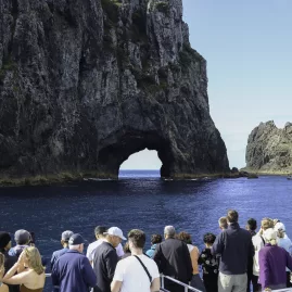 A group of tourists on a boat tour admiring the famous Hole in the Rock formation in the Bay of Islands, surrounded by deep blue waters.