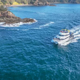 A scenic cruise boat gliding through the clear blue waters of the Bay of Islands, offering a breathtaking view of the surrounding coastline.