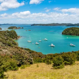 A scenic view of Otehei Bay on Urupukapuka Island, with turquoise waters and boats anchored in the Bay of Islands, New Zealand.