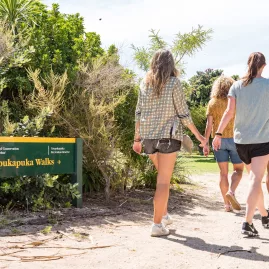 A group of friends walking along the Urupukapuka Walks trail in the Bay of Islands, New Zealand, surrounded by lush greenery.