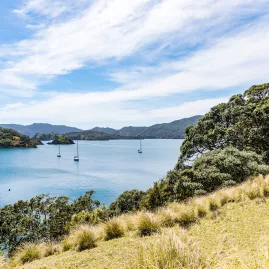 Two hikers walking along a scenic coastal trail on Urupukapuka Island, surrounded by lush greenery and stunning ocean views.