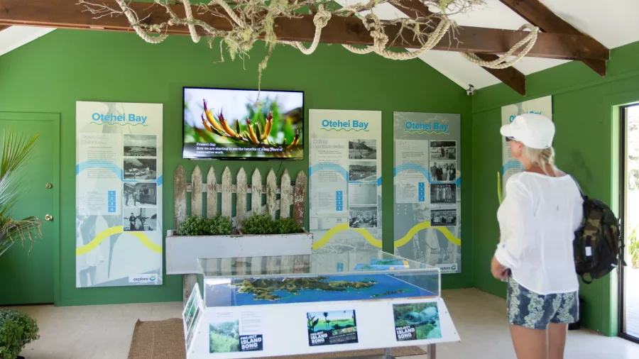 A visitor exploring the Urupukapuka Island Visitor Centre in New Zealand, featuring educational displays and a 3D island model.