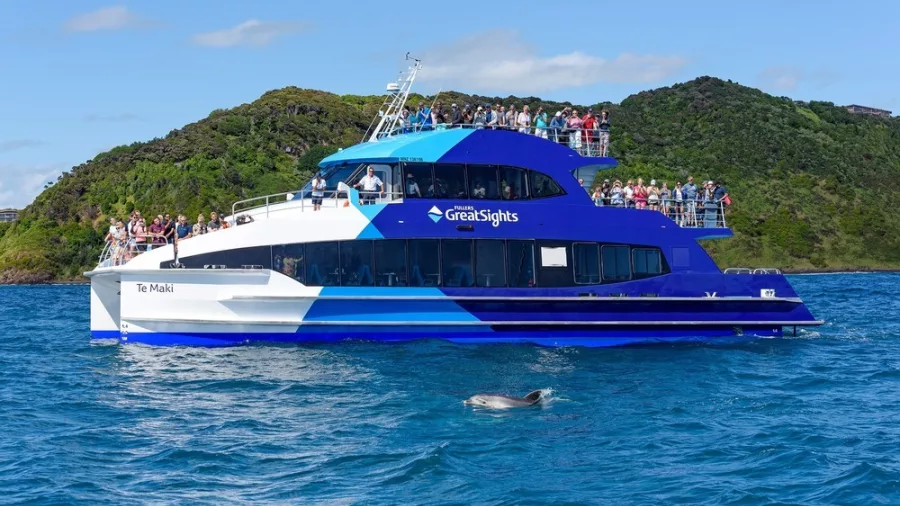 Dolphin Watching Cruise to the Hole in the Rock in the Bay of Islands