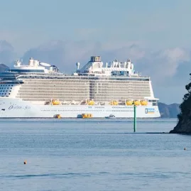 Cruise ship anchored in the Bay of Islands with nearby boats and forested islet