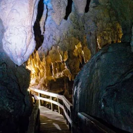 Boardwalk through the Waiomio Glowworm Caves in Kerikeri