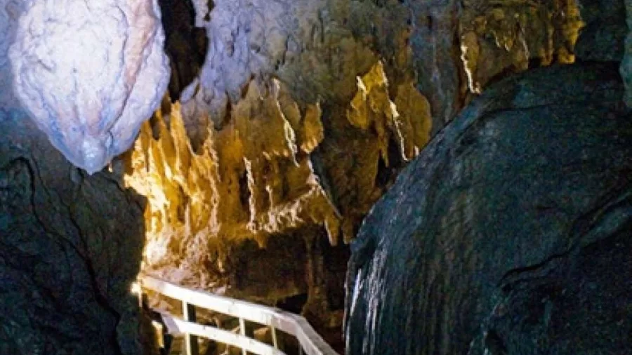 Boardwalk through the Waiomio Glowworm Caves in Kerikeri