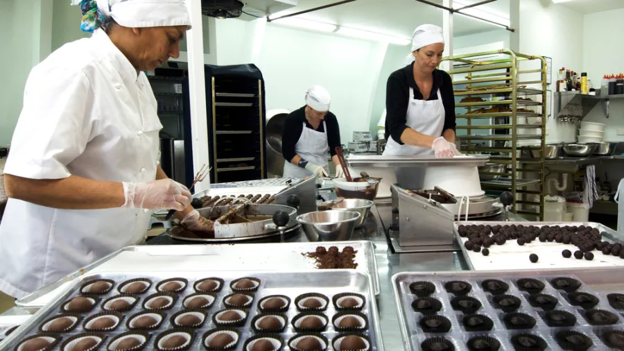 Staff preparing handcrafted chocolates at Makana Chocolate Factory in Kerikeri