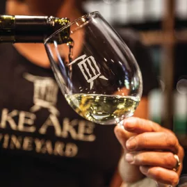 Cheese and charcuterie platter with Marsden Estate wine and two glasses in Kerikeri