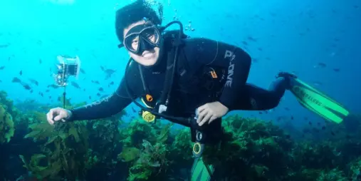 Scuba diver exploring underwater marine life near Paihia in the Bay of Islands, New Zealand.