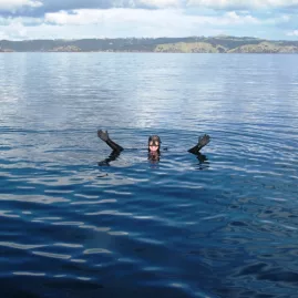 Snorkeller floating on calm ocean waters with coastal scenery in the background near the Bay of Islands.