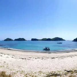 Secluded sandy beach and turquoise bay with offshore islands in the Bay of Islands, New Zealand.
