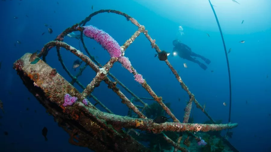 Diver approaching the coral-encrusted bow railings of the Canterbury Wreck in the Bay of Islands