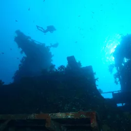 Scuba diver exploring the Rainbow Warrior wreck in Bay of Islands New Zealand