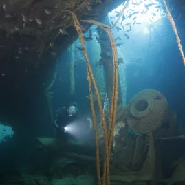 Scuba diver explores the interior of the Rainbow Warrior shipwreck surrounded by fish and marine debris