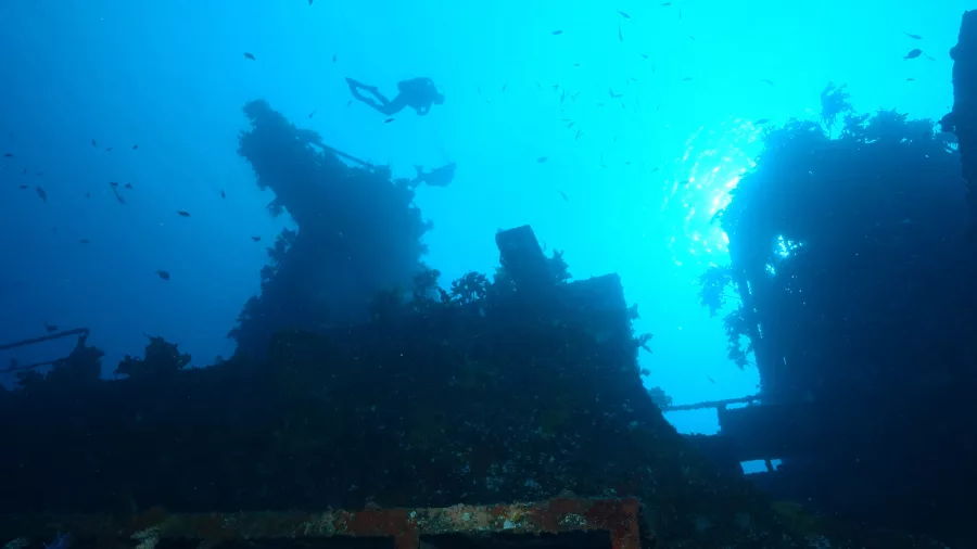 Scuba diver exploring the Rainbow Warrior wreck in Bay of Islands New Zealand