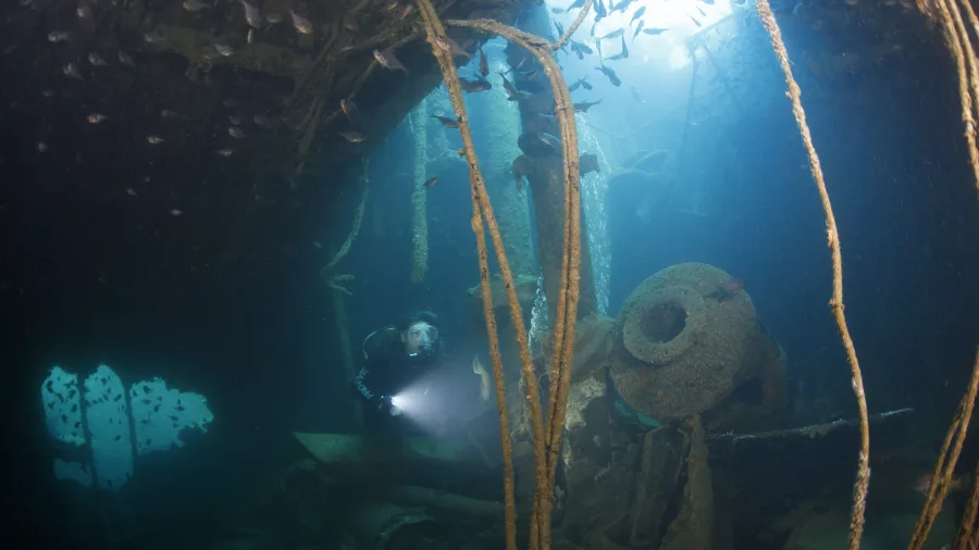 Scuba diver explores the interior of the Rainbow Warrior shipwreck surrounded by fish and marine debris