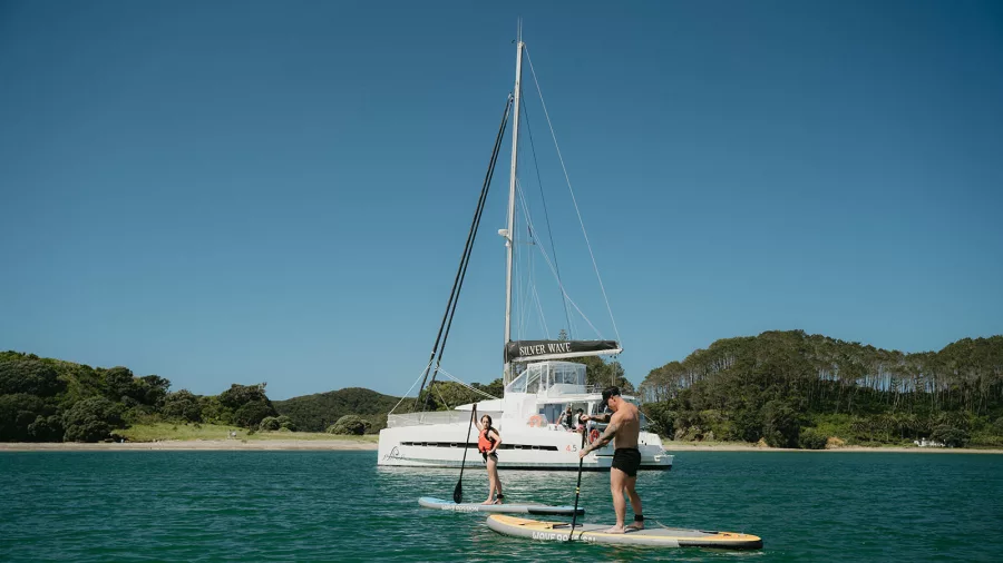 Guests paddleboarding near the Silver Wave catamaran in the Bay of Islands