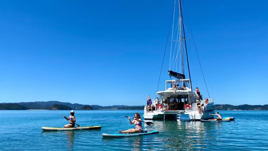 Guests paddleboarding and relaxing on the water near a yacht in the Bay of Islands