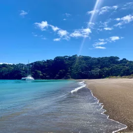 Foreshore and beach of Entico Bay framed by lush forest in the Bay of Islands