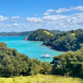 Silver Wave catamaran tucked into Entico Bay in the Bay of Islands