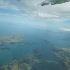 Aerial view of the Bay of Islands coastline and inlets seen from a skydive flight