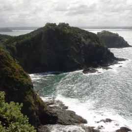 Clifftop view of the rugged coastline and ocean in the Bay of Islands