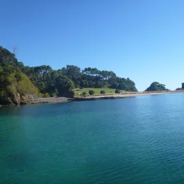 View of the shoreline and tree-covered hills of Urupukapuka Island in the Bay of Islands