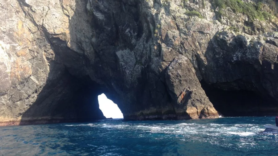 Hole in the Rock sea arch at Motu Kōkako in the Bay of Islands