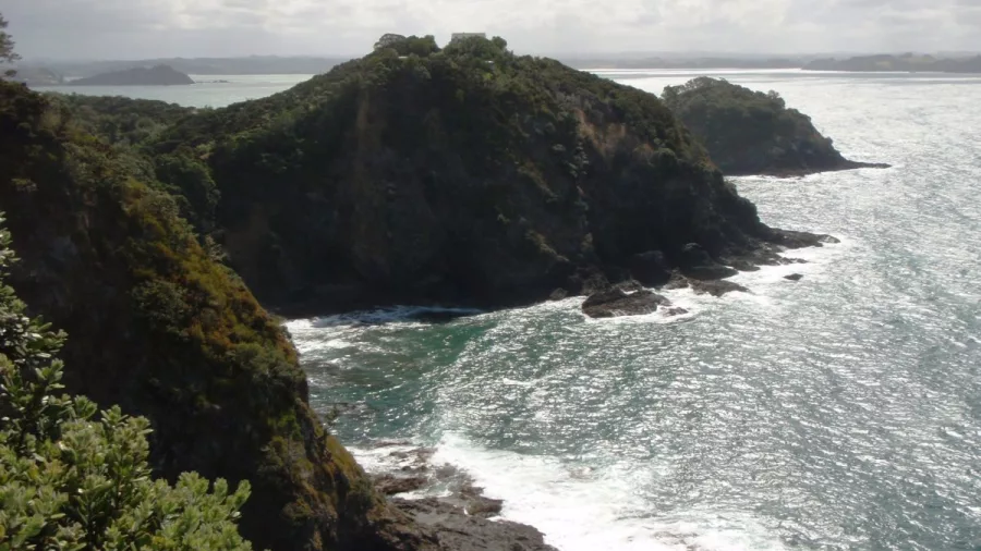 Clifftop view of the rugged coastline and ocean in the Bay of Islands