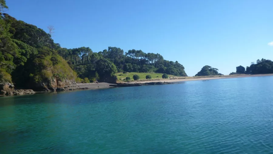 View of the shoreline and tree-covered hills of Urupukapuka Island in the Bay of Islands