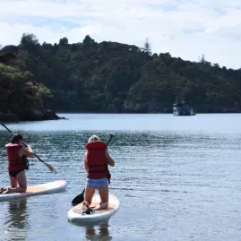 Two people paddleboarding in calm waters near forested islands during The Rock Adventure Cruise in the Bay of Islands