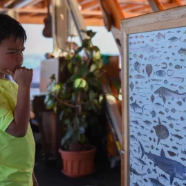 Young boy in a neon shirt studying a fish species chart on board The Rock Adventure Cruise in the Bay of Islands